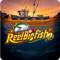 Reel bigfish by Global WPT